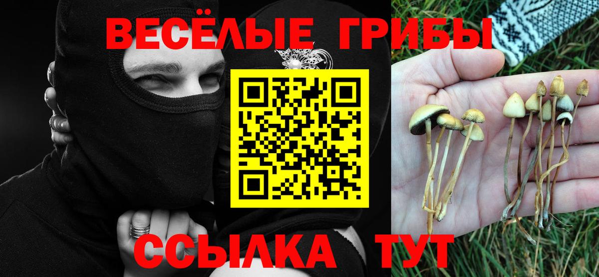 Гагарин  Галлюциногенные грибы мицелий  Вход с VPN 