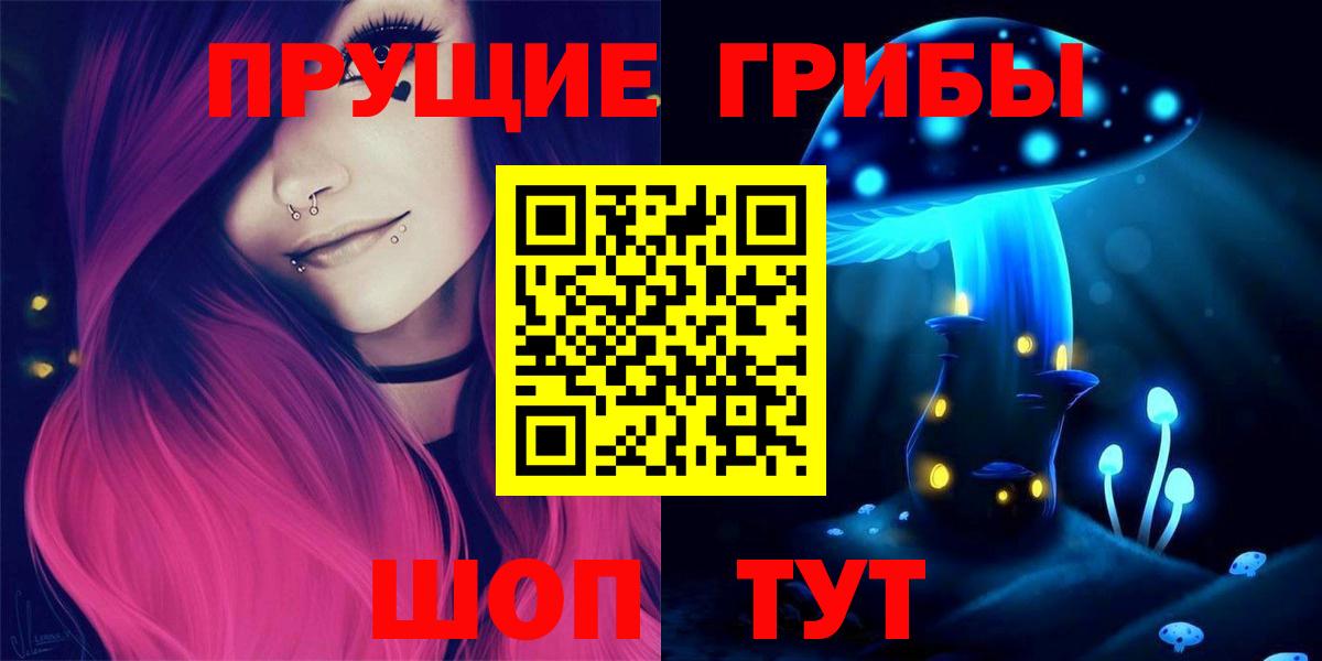 Псилоцибиновые грибы Psilocybe Гагарин